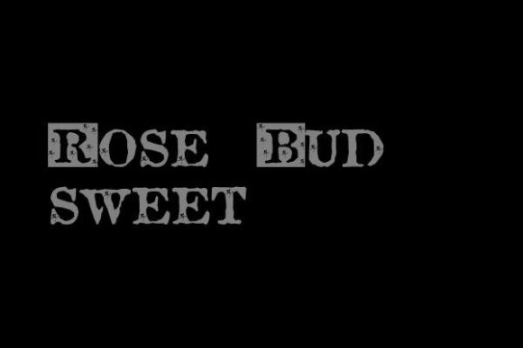 Rose Bud Sweet: A Typeface That Adds Bold Flair to Your Web Design